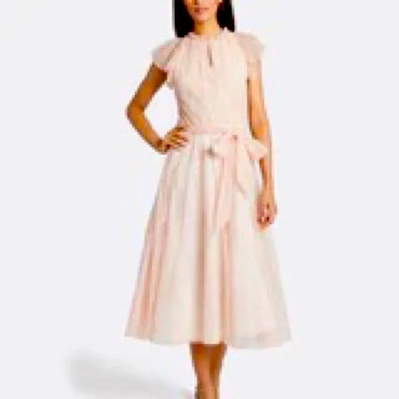Tahari ASL | Ruffled Paisley Maxi Dress | Pink Paisley | Size: 4